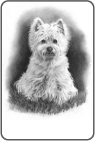 Westie Dog Bookplates