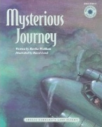 Mysterious Journey