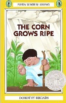 Corn Grows Ripe, Mayan story