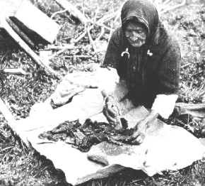 Making Pemmican